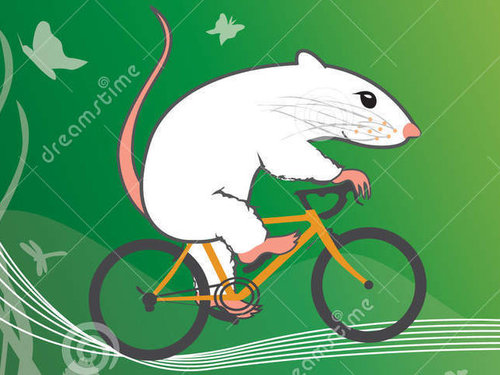 mouse-bicycle-14214103.jpg